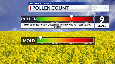 pollen count pinellas county|pollen and mold count today.